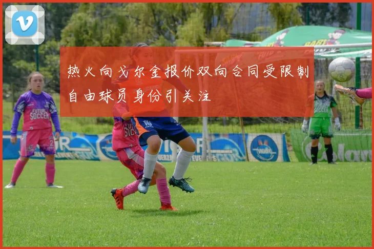 热火向戈尔金报价双向合同受限制自由球员身份引关注