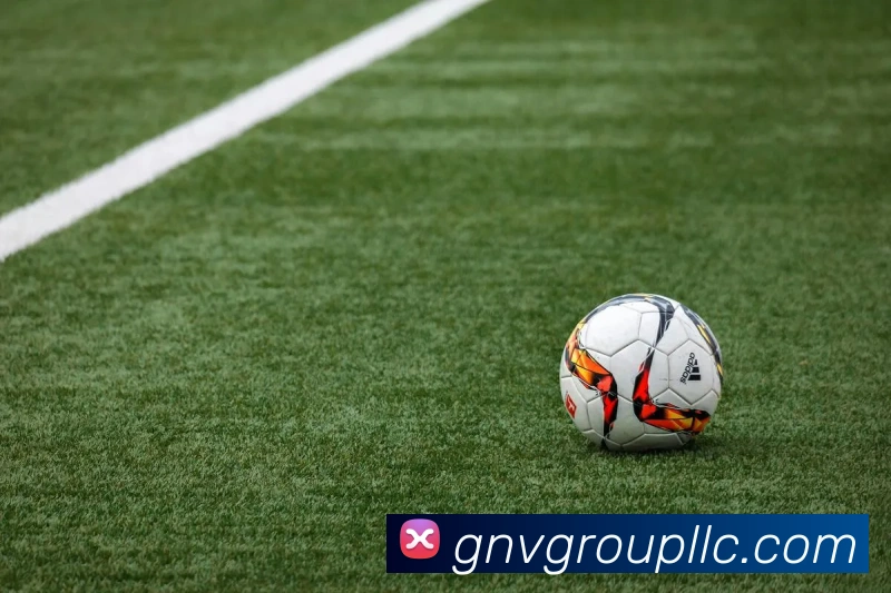 未来规划
